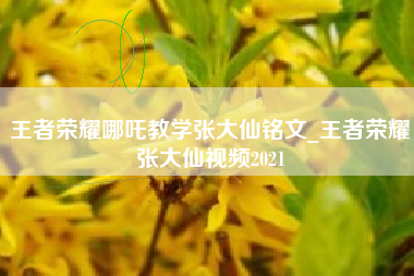 王者荣耀哪吒教学张大仙铭文_王者荣耀张大仙视频2021