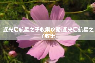 逐光启航星之子收集攻略(逐光启航星之子收集)