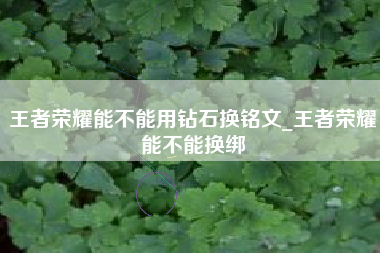 王者荣耀能不能用钻石换铭文_王者荣耀能不能换绑