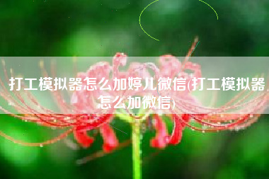 打工模拟器怎么加婷儿微信(打工模拟器怎么加微信)