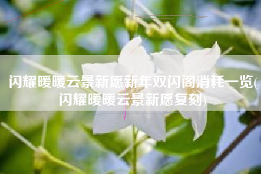 闪耀暖暖云景新愿新年双闪阁消耗一览(闪耀暖暖云景新愿复刻)