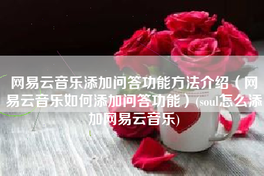 网易云音乐添加问答功能方法介绍（网易云音乐如何添加问答功能）(soul怎么添加网易云音乐)