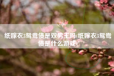 纸嫁衣3鸳鸯债是双男主吗(纸嫁衣3鸳鸯债是什么游戏)