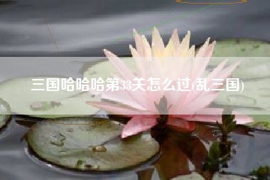 三国哈哈哈第33关怎么过(乱三国)