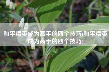 和平精英成为高手的四个技巧(和平精英成为高手的四个技巧)
