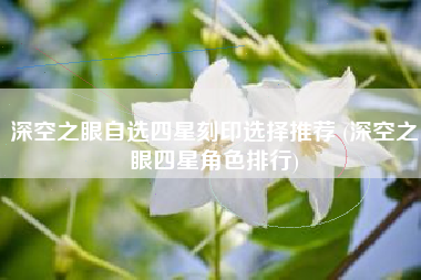 深空之眼自选四星刻印选择推荐 (深空之眼四星角色排行)