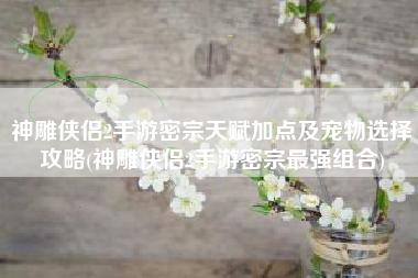 神雕侠侣2手游密宗天赋加点及宠物选择攻略(神雕侠侣2手游密宗最强组合)