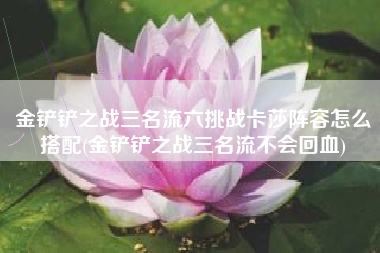 金铲铲之战三名流六挑战卡莎阵容怎么搭配(金铲铲之战三名流不会回血)