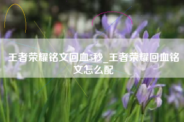 王者荣耀铭文回血5秒_王者荣耀回血铭文怎么配