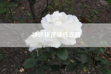 神医快速赚钱攻略