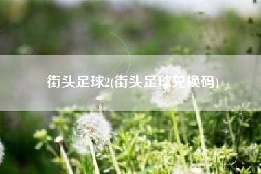 街头足球2(街头足球兑换码)
