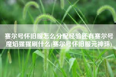 赛尔号怀旧服怎么分配经验还有赛尔号魔焰猩猩刷什么(赛尔号怀旧服元神珠)