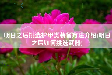 明日之后挑选护甲类装备方法介绍(明日之后如何挑选武器)