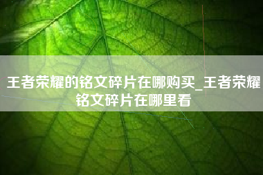 王者荣耀的铭文碎片在哪购买_王者荣耀铭文碎片在哪里看