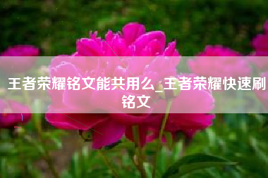 王者荣耀铭文能共用么_王者荣耀快速刷铭文