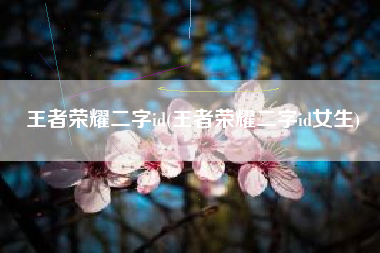 王者荣耀二字id(王者荣耀二字id女生)