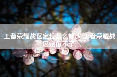 王者荣耀战区定位怎么修改(王者荣耀战区定位不了)