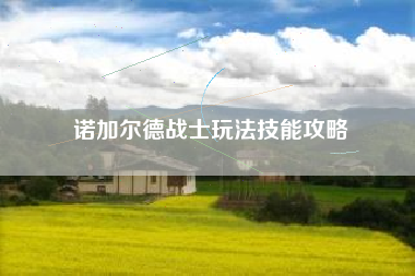 诺加尔德战士玩法技能攻略