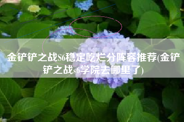 金铲铲之战S6稳定吃烂分阵容推荐(金铲铲之战s6学院去哪里了)