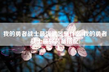 我的勇者战士最强武器是什么(我的勇者战士最强装备搭配)