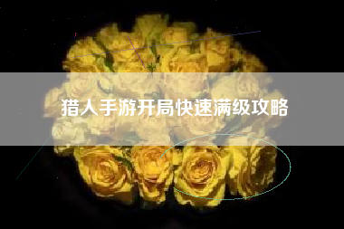 猎人手游开局快速满级攻略