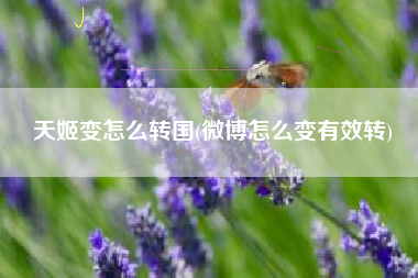 天姬变怎么转国(微博怎么变有效转)