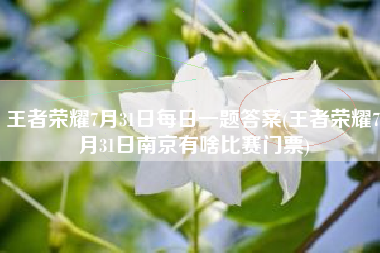 王者荣耀7月31日每日一题答案(王者荣耀7月31日南京有啥比赛门票)