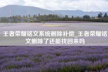 王者荣耀铭文系统删除补偿_王者荣耀铭文删除了还能找回来吗