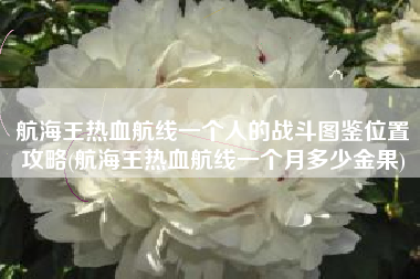 航海王热血航线一个人的战斗图鉴位置攻略(航海王热血航线一个月多少金果)