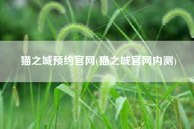 猫之城预约官网(猫之城官网内测)