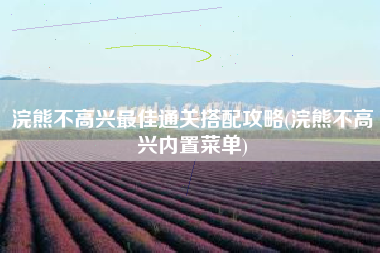 浣熊不高兴最佳通关搭配攻略(浣熊不高兴内置菜单)