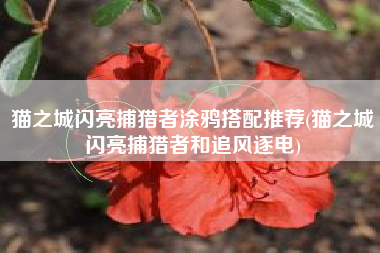猫之城闪亮捕猎者涂鸦搭配推荐(猫之城闪亮捕猎者和追风逐电)