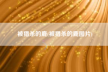 被猎杀的鹿(被猎杀的鹿图片)