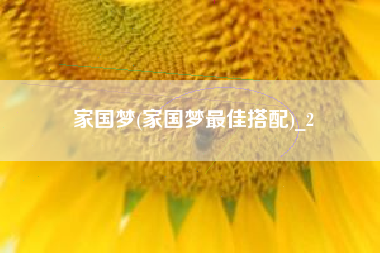 家国梦(家国梦最佳搭配)_2