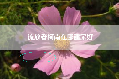 流放者柯南在哪建家好