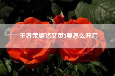 王者荣耀铭文页3要怎么开启