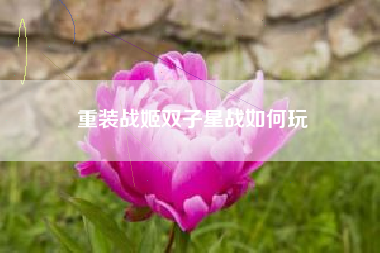 重装战姬双子星战如何玩