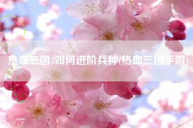 热血三国3如何进阶兵种(热血三国手游)