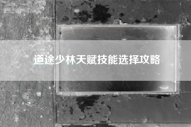 道途少林天赋技能选择攻略