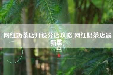 网红奶茶店开设分店攻略(网红奶茶店最新版)