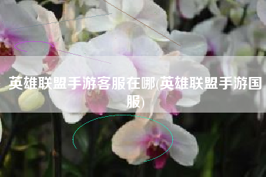 英雄联盟手游客服在哪(英雄联盟手游国服)