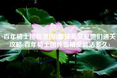 百年骑士团精灵国7盾任务又是他们通关攻略(百年骑士团纯血精灵能活多久)