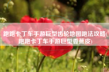 跑跑卡丁车手游巨型齿轮地图跑法攻略(跑跑卡丁车手游巨型香蕉皮)