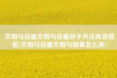 文明与征服文明与征服孙子兵法阵容搭配(文明与征服文明与勋章怎么弄)