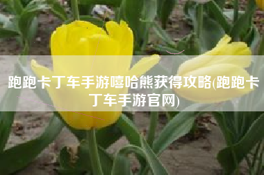 跑跑卡丁车手游嘻哈熊获得攻略(跑跑卡丁车手游官网)