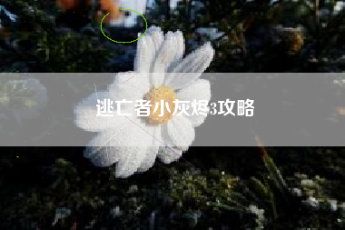 逃亡者小灰烬3攻略
