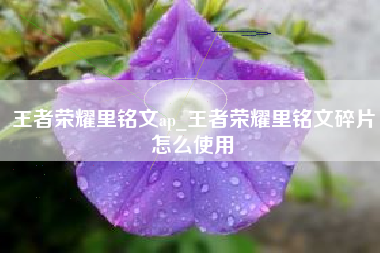 王者荣耀里铭文ap_王者荣耀里铭文碎片怎么使用