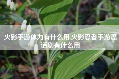 火影手游体力有什么用,火影忍者手游忍话剧有什么用