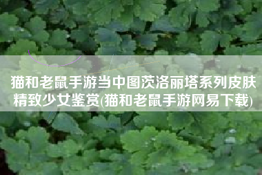 猫和老鼠手游当中图茨洛丽塔系列皮肤精致少女鉴赏(猫和老鼠手游网易下载)