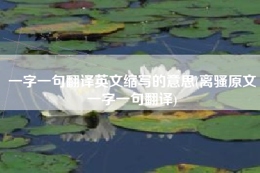 一字一句翻译英文缩写的意思(离骚原文一字一句翻译)